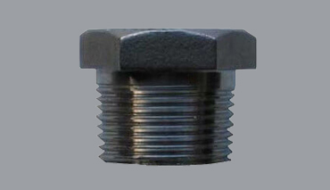 Alloy Steel Hex Plug