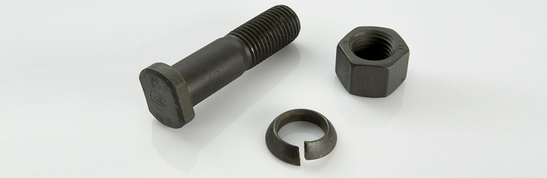 Carbon Steel Fasteners 