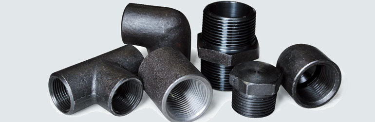  Carbon Steel Forged Fittings