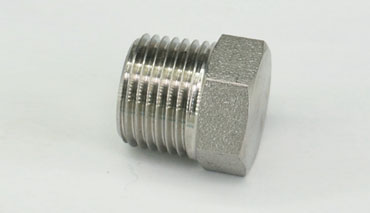 Stainless Steel Hex Plug