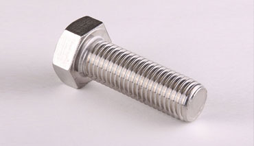 Stainless Steel Bolts