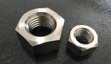 Stainless Steel Nuts